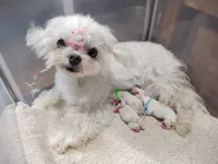 processed/ce93e615-3ec4-4344-925d-ac5904a53b86/facility/3aae7688-0562-4a55-8ccd-137abadf2c3e