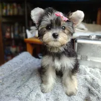 processed/ce93e615-3ec4-4344-925d-ac5904a53b86/facility/3f3ed159-54c7-4a90-a612-9a4d1f01cfef