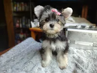 processed/ce93e615-3ec4-4344-925d-ac5904a53b86/facility/3f3ed159-54c7-4a90-a612-9a4d1f01cfef