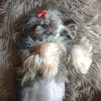 processed/ce93e615-3ec4-4344-925d-ac5904a53b86/facility/6e93e327-baf7-4877-978a-a6cf56e1823d