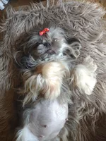 processed/ce93e615-3ec4-4344-925d-ac5904a53b86/facility/6e93e327-baf7-4877-978a-a6cf56e1823d