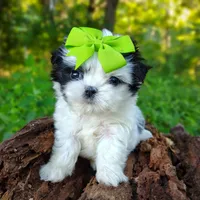 processed/ce93e615-3ec4-4344-925d-ac5904a53b86/facility/be70b1cc-0a41-4cd4-a459-1e009ce750f9