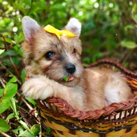 processed/ce93e615-3ec4-4344-925d-ac5904a53b86/facility/c8e5b894-25c0-4de6-8b7a-150a263857fb