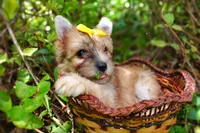 processed/ce93e615-3ec4-4344-925d-ac5904a53b86/facility/c8e5b894-25c0-4de6-8b7a-150a263857fb