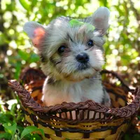 processed/ce93e615-3ec4-4344-925d-ac5904a53b86/facility/e12d53c1-9ae6-435e-8920-e9f9c3ef44c6