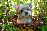 processed/ce93e615-3ec4-4344-925d-ac5904a53b86/facility/e12d53c1-9ae6-435e-8920-e9f9c3ef44c6