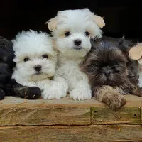 processed/ce93e615-3ec4-4344-925d-ac5904a53b86/facility/e4b135dc-a397-4825-bafc-77b3d589bf54