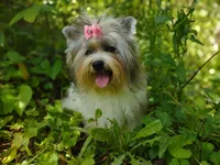 processed/ce93e615-3ec4-4344-925d-ac5904a53b86/facility/fee1a1be-fd9f-400c-b75d-7bc839f01005