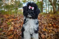 processed/ce93e615-3ec4-4344-925d-ac5904a53b86/listing/8d7e76f6-5ad7-48e5-b3a0-499c3b152a05/1e43322e-49a2-47f7-97b0-1c20fec76661