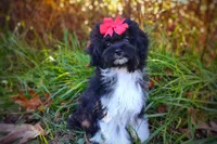 processed/ce93e615-3ec4-4344-925d-ac5904a53b86/listing/8d7e76f6-5ad7-48e5-b3a0-499c3b152a05/486cf00a-f440-460a-8faa-b496c97a2790