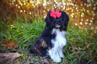 processed/ce93e615-3ec4-4344-925d-ac5904a53b86/listing/8d7e76f6-5ad7-48e5-b3a0-499c3b152a05/a17a6467-7692-479a-a8af-ada478f51cb1