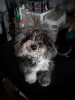 processed/ce93e615-3ec4-4344-925d-ac5904a53b86/listing/8d7e76f6-5ad7-48e5-b3a0-499c3b152a05/f797fdb5-4c00-4a77-ae82-c9b013f2927a