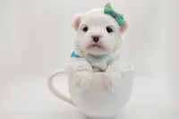 processed/ce93e615-3ec4-4344-925d-ac5904a53b86/listing/b25a658c-b028-43e9-a47a-f2d730595bdd/297c75fa-624d-4cd1-8e15-e1eebacdde41