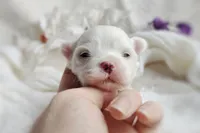 processed/ce93e615-3ec4-4344-925d-ac5904a53b86/listing/b25a658c-b028-43e9-a47a-f2d730595bdd/6205f0a0-3f4e-4447-acce-e1dbc4eed945