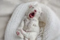 processed/ce93e615-3ec4-4344-925d-ac5904a53b86/listing/b25a658c-b028-43e9-a47a-f2d730595bdd/d7a20db7-7355-447f-847f-0e81b3772d96