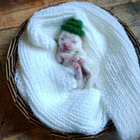 Korean Snowball, a male Maltese for sale in Barren Springs, VA – Photo 10 of 10