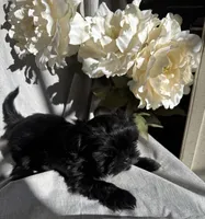 processed/ce9754cd-570a-433a-b4cf-bf6d7911b509/listing/c70d5c5c-7eb7-4010-9cee-0f9c1b228539/3b5efd95-8add-49b8-a518-dd171173091a