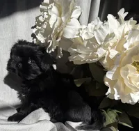 processed/ce9754cd-570a-433a-b4cf-bf6d7911b509/listing/c70d5c5c-7eb7-4010-9cee-0f9c1b228539/b402b6a5-0420-436e-a771-7b79f8aab4db