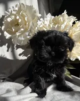 processed/ce9754cd-570a-433a-b4cf-bf6d7911b509/listing/c70d5c5c-7eb7-4010-9cee-0f9c1b228539/bd3932e8-b1bf-460c-8379-34ec54afd592