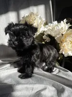 processed/ce9754cd-570a-433a-b4cf-bf6d7911b509/listing/c70d5c5c-7eb7-4010-9cee-0f9c1b228539/c5f97ea3-a5eb-4874-8a0b-373d9874589a