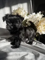 processed/ce9754cd-570a-433a-b4cf-bf6d7911b509/listing/c70d5c5c-7eb7-4010-9cee-0f9c1b228539/ed375164-6d64-454c-9ba5-ba0351b1e6f7