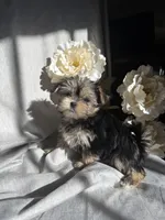 processed/ce9754cd-570a-433a-b4cf-bf6d7911b509/listing/f471e710-feaf-45c4-8295-7f7ea83e1039/106bfe49-34e7-4456-a0db-2d27638ed670