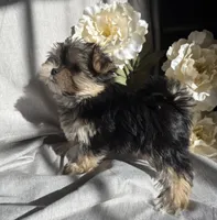 processed/ce9754cd-570a-433a-b4cf-bf6d7911b509/listing/f471e710-feaf-45c4-8295-7f7ea83e1039/1c95f03a-0c44-4d67-ac61-07dfe9d8faaf