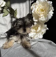 processed/ce9754cd-570a-433a-b4cf-bf6d7911b509/listing/f471e710-feaf-45c4-8295-7f7ea83e1039/646ae97c-3608-473b-958c-f50292515587