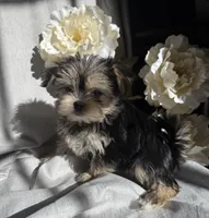 processed/ce9754cd-570a-433a-b4cf-bf6d7911b509/listing/f471e710-feaf-45c4-8295-7f7ea83e1039/8ea5b6bc-7e8f-4a84-9aaa-8737f7a54352