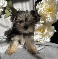 processed/ce9754cd-570a-433a-b4cf-bf6d7911b509/listing/f471e710-feaf-45c4-8295-7f7ea83e1039/a3382978-3120-4edd-b5b7-371e1ad87db6