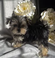 processed/ce9754cd-570a-433a-b4cf-bf6d7911b509/listing/f471e710-feaf-45c4-8295-7f7ea83e1039/f463147b-1d42-4422-ac6a-457ff0bae830