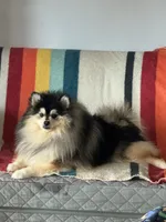 processed/ce9c6f8d-8eb5-42bc-9c31-530015a5ad1b/listing/5e3f40d0-855e-4bbe-b649-8c71badc3a9e/731e4b22-cb9c-4ad7-9a89-9aedc1d34d2c