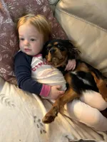 processed/cea0b3d9-37a3-4c23-9741-ba39d20e0a15/facility/00974ee5-cc3d-4366-995f-6e20b1d90ae6