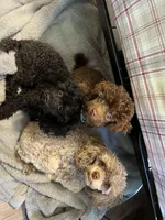 processed/cea0b3d9-37a3-4c23-9741-ba39d20e0a15/facility/054ed364-d172-42d1-b65a-3b22f4815617