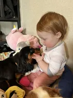 processed/cea0b3d9-37a3-4c23-9741-ba39d20e0a15/facility/2271438d-ca3e-4bb5-b971-49529d888cb5