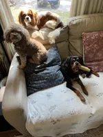 processed/cea0b3d9-37a3-4c23-9741-ba39d20e0a15/facility/c24c450f-616e-4fe1-8e48-28413a4200e5