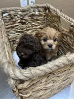 processed/cea0b3d9-37a3-4c23-9741-ba39d20e0a15/facility/c7ce7b58-7f50-4b7b-82ed-a1a9fdc150ea