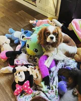 processed/cea0b3d9-37a3-4c23-9741-ba39d20e0a15/facility/d40a53fc-42cc-45bc-aaf2-ede30407c8a0