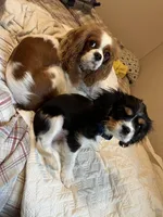 processed/cea0b3d9-37a3-4c23-9741-ba39d20e0a15/facility/e161a97f-8181-4fb5-baab-4b510d376ddd