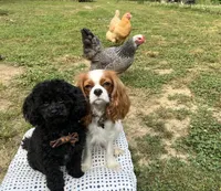 processed/cea0b3d9-37a3-4c23-9741-ba39d20e0a15/facility/e33065e3-bff9-434e-ae7d-3bfbec2ab24d