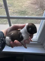 processed/ceb0934a-a53a-4568-9691-30ff3978bba8/listing/09e33389-e034-4927-afe4-f3e8e6ac8d81/71e04131-6d18-4a02-b4c1-2ab37a25e650