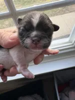 processed/ceb0934a-a53a-4568-9691-30ff3978bba8/listing/09e33389-e034-4927-afe4-f3e8e6ac8d81/99c96e12-b71c-4d03-aae8-eb837310b42c