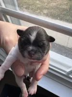 processed/ceb0934a-a53a-4568-9691-30ff3978bba8/listing/09e33389-e034-4927-afe4-f3e8e6ac8d81/a023eb08-ef6b-4d04-9a53-7f4e07f6b829