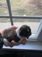 processed/ceb0934a-a53a-4568-9691-30ff3978bba8/listing/09e33389-e034-4927-afe4-f3e8e6ac8d81/dee2fb05-a24c-46b1-a6b2-b7dd9e481e8c