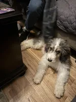 processed/ceb4600c-8ec2-467d-baaa-ebe109d3507b/facility/2d290787-0673-4acb-803b-2648f8466b48