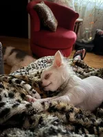 processed/ceb4600c-8ec2-467d-baaa-ebe109d3507b/facility/4322a961-ad17-4d61-8b69-746b10b94def