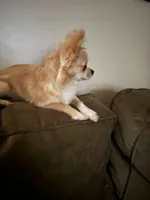 processed/ceb4600c-8ec2-467d-baaa-ebe109d3507b/facility/4f708bb9-be87-4086-976d-b7ea08def851