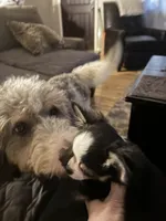 processed/ceb4600c-8ec2-467d-baaa-ebe109d3507b/facility/532acb55-bd2d-4b4e-bb64-b0795b481d34