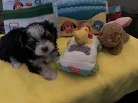 processed/ceb4600c-8ec2-467d-baaa-ebe109d3507b/facility/55e9d7f1-46ea-47e5-9f61-0c93b796e53b