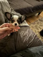 processed/ceb4600c-8ec2-467d-baaa-ebe109d3507b/facility/56680c0a-041b-4b10-b335-64dfb1fcb056